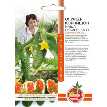 МАША СИБИРЯЧКА