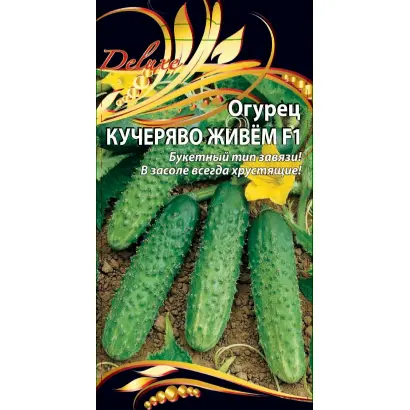 КУЧЕРЯВО ЖИВЁМ