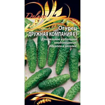 ДРУЖНАЯ КОМПАНИЯ