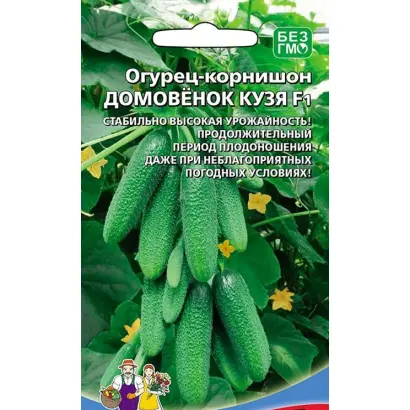 ДОМОВЁНОК КУЗЯ