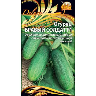 БРАВЫЙ СОЛДАТ