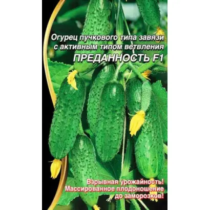 ПРЕДАННОСТЬ