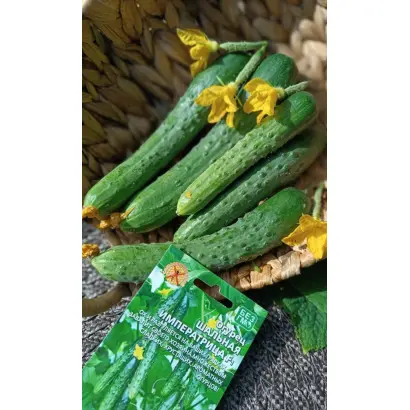 ШАЛЬНАЯ ИМПЕРАТРИЦА