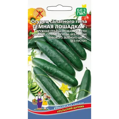 ТЁМНАЯ ЛОШАДКА