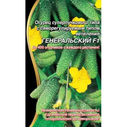 ГЕНЕРАЛЬСКИЙ