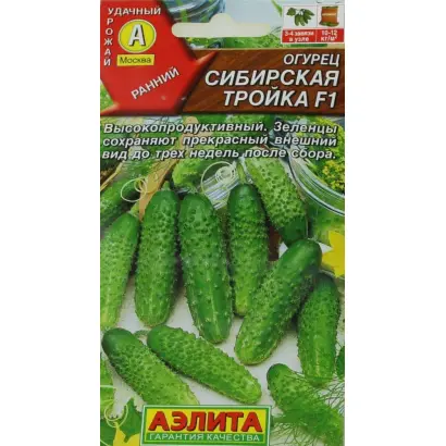 СИБИРСКАЯ ТРОЙКА