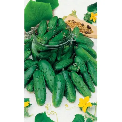 ТЁЩИНО СЧАСТЬЕ