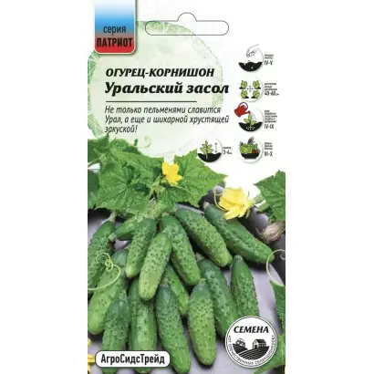 УРАЛЬСКИЙ ЗАСОЛ