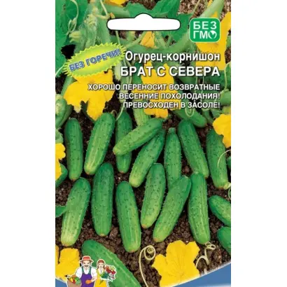 БРАТ С СЕВЕРА