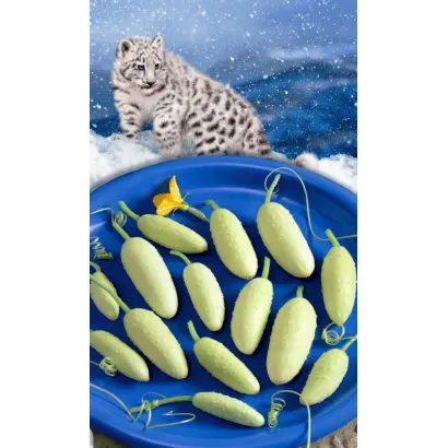 СНЕЖНЫЙ БАРС