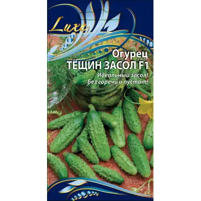 ТЁЩИН ЗАСОЛ