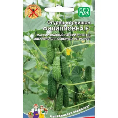 ФИЛИППОВНА