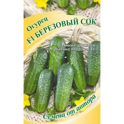 БЕРЕЗОВЫЙ СОК