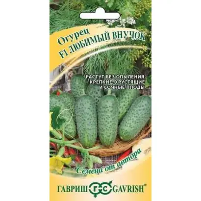 ЛЮБИМЫЙ ВНУЧОК