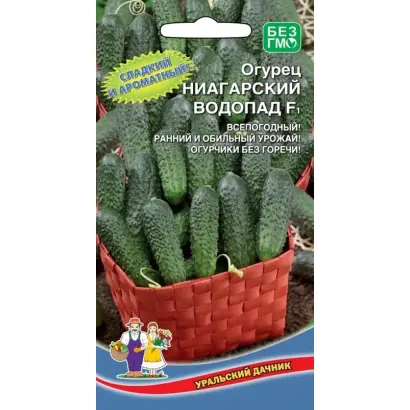 НИАГАРСКИЙ ВОДОПАД