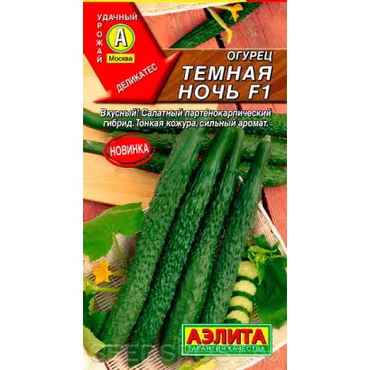 ТЕМНАЯ НОЧЬ