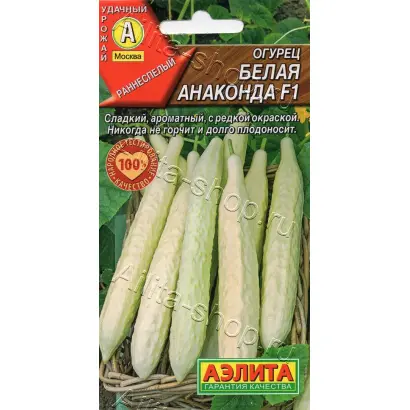 БЕЛАЯ АНАКОНДА