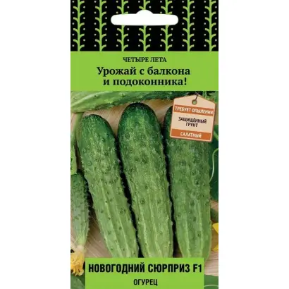 НОВОГОДНИЙ СЮРПРИЗ