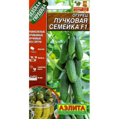 ПУЧКОВАЯ СЕМЕЙКА