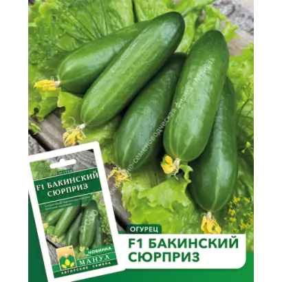 БАКИНСКИЙ СЮРПРИЗ