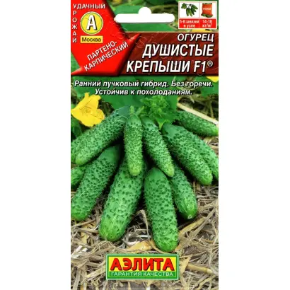 ДУШИСТЫЕ КРЕПЫШИ