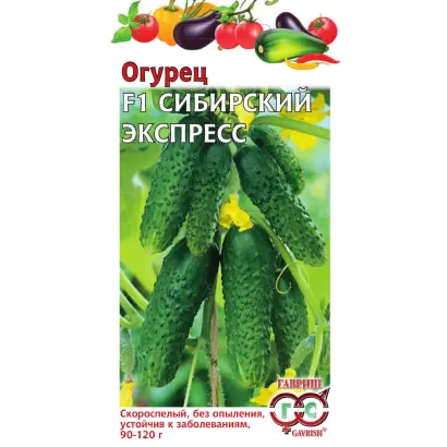 СИБИРСКИЙ ЭКСПРЕСС