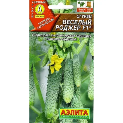 ВЕСЕЛЫЙ РОДЖЕР