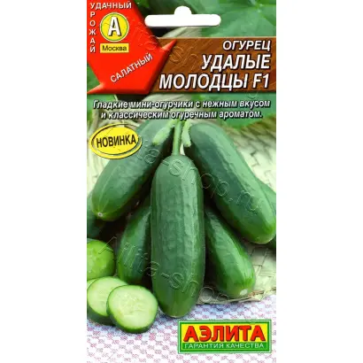 УДАЛЫЕ МОЛОДЦЫ