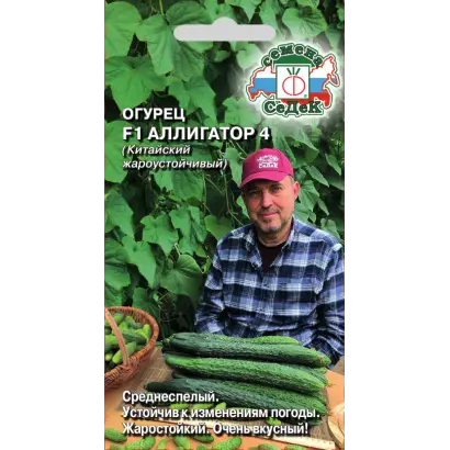 АЛЛИГАТОР 4