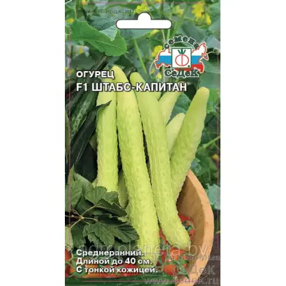 ШТАБС-КАПИТАН