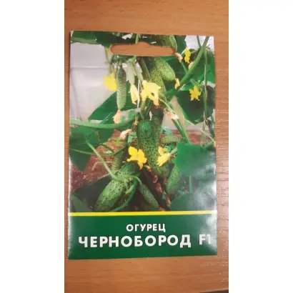 ЧЕРНОБОРОД