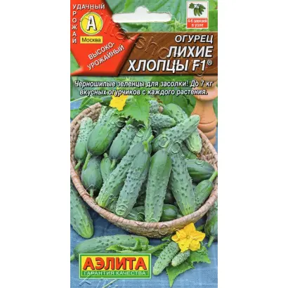 ЛИХИЕ ХЛОПЦЫ