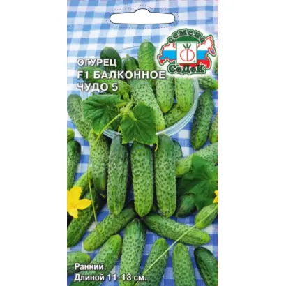 БАЛКОННОЕ ЧУДО