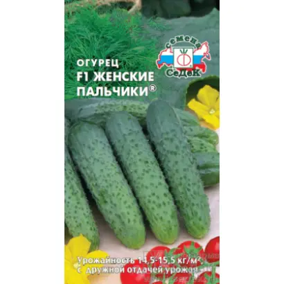 ЖЕНСКИЕ ПАЛЬЧИКИ