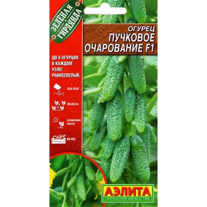 ПУЧКОВОЕ ОЧАРОВАНИЕ