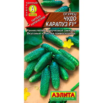 ЧУДО-КАРАПУЗ