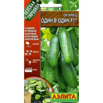 ОДИН В ОДИН