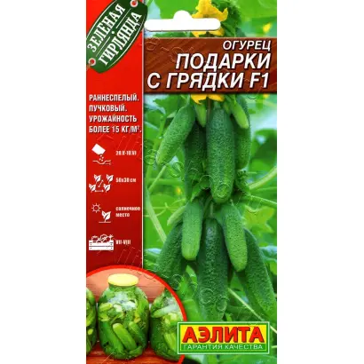 ПОДАРКИ С ГРЯДКИ