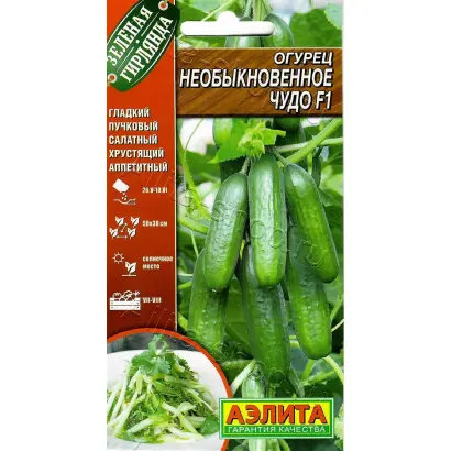 НЕОБЫКНОВЕННОЕ ЧУДО