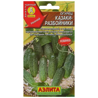 КАЗАКИ-РАЗБОЙНИКИ