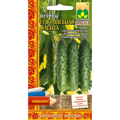 ВОЛШЕБНАЯ ФЛЕЙТА