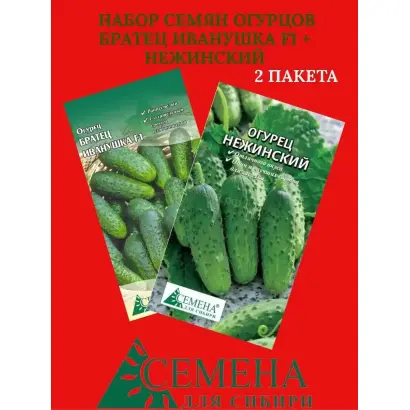 НЕЖИНСКИЙ СИБИРИ