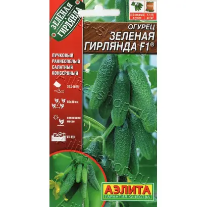 ЗЕЛЕНАЯ ГИРЛЯНДА