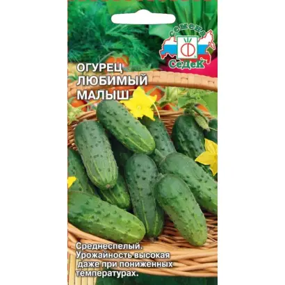 ЛЮБИМЫЙ МАЛЫШ