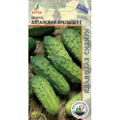 АЛТАЙСКИЙ КРЕПЫШ
