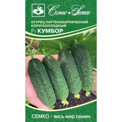 КУМБОР