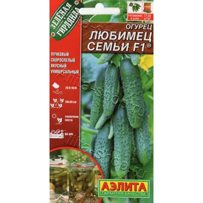 ЛЮБИМЕЦ СЕМЬИ