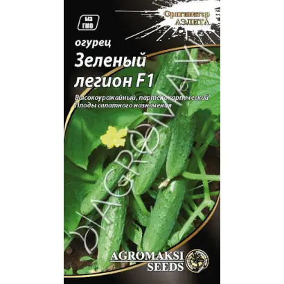 ЗЕЛЕНЫЙ ЛЕГИОН