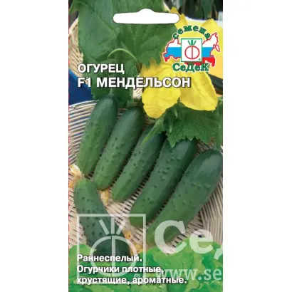 МЕНДЕЛЬСОН