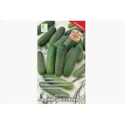 ЛЮБИМЕЦ ХОЗЯЙКИ